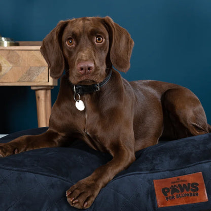 Paws for Slumber Raised Padded Dog Bed – Comfortable, Supportive & Durable Pet Bed for All Breeds