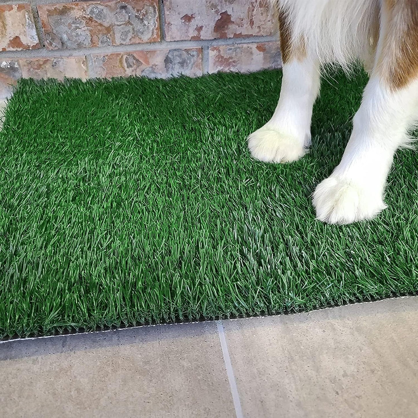 Dog Toilet Tray with Washable Pee Pad and Artificial Grass Patch for Dogs Puppy Toilet Training, Portable Indoor Dog Litter Tray (40.6X50.7Cm)