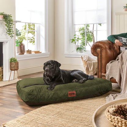 Paws for Slumber Raised Padded Dog Bed – Comfortable, Supportive & Durable Pet Bed for All Breeds