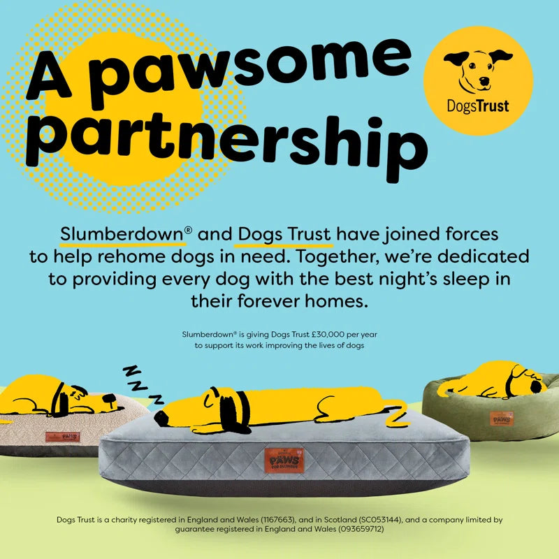 Paws for Slumber Raised Padded Dog Bed – Comfortable, Supportive & Durable Pet Bed for All Breeds