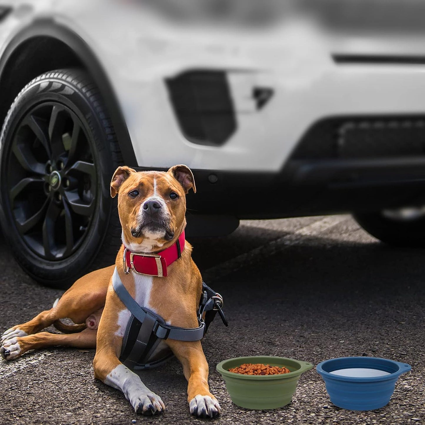 2-Pack Collapsible Dog Bowls, Integrated Molding Travel Bowls Without Plastic Rim, Ideal for Outdoor Feeding, 600ml (Navy Blue & Dark Green)