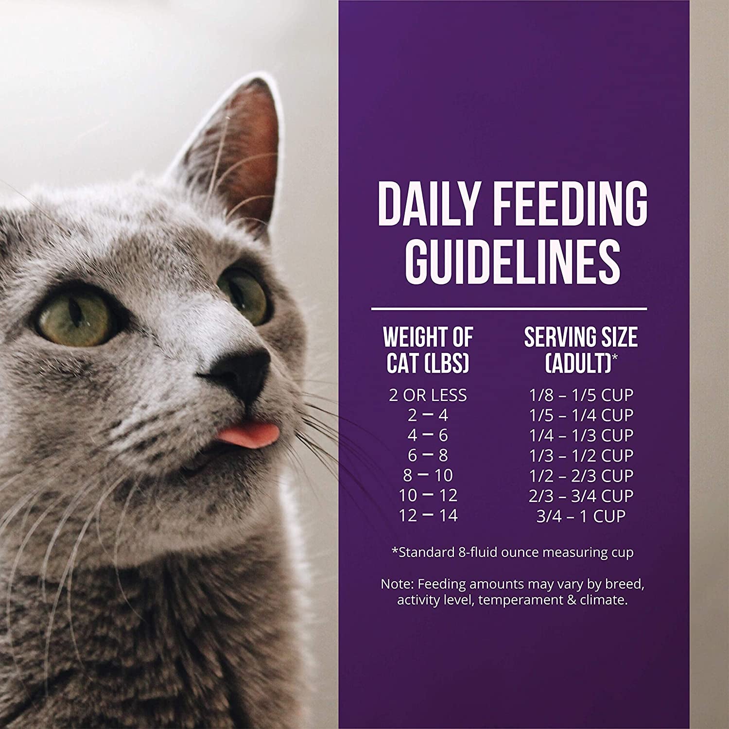 Market Fresh Grain-Free Dry Cat Food with Quail & Duck Meal, 4 lb