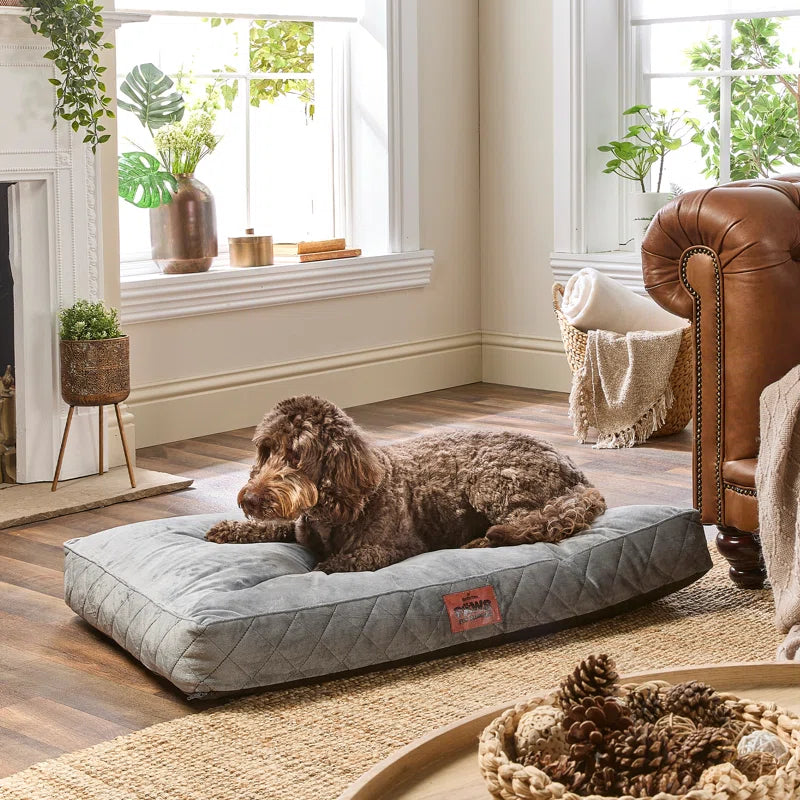 Paws for Slumber Raised Padded Dog Bed – Comfortable, Supportive & Durable Pet Bed for All Breeds