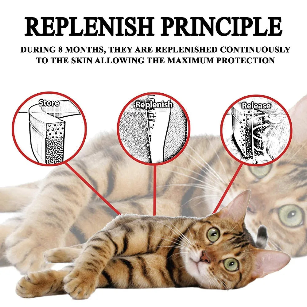 8 Month Protection Flea & Tick Collar Insect Prevention Silicone Cat Necklace Wear Resistant Anti-Mosquito Pet Supplies Teddy