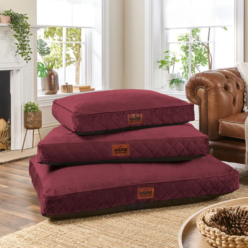 Paws for Slumber Raised Padded Dog Bed – Comfortable, Supportive & Durable Pet Bed for All Breeds