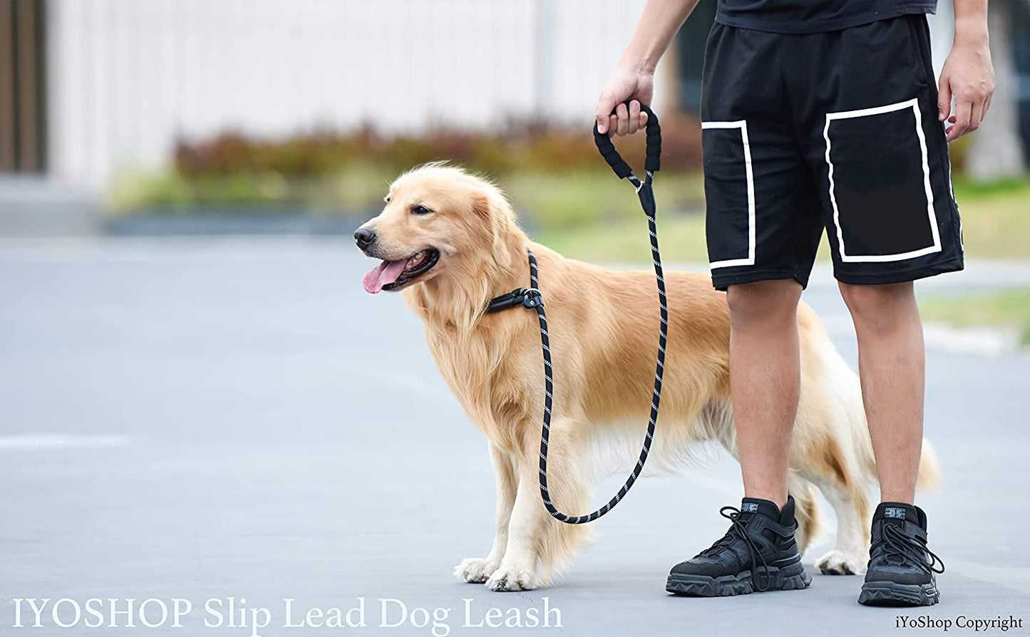 Durable Slip Lead Dog Leash with Padded Handle and Reflective Threads, No-Pull Training Leash, 1/2" x 6 FT, Black
