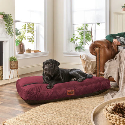 Paws for Slumber Raised Padded Dog Bed – Comfortable, Supportive & Durable Pet Bed for All Breeds