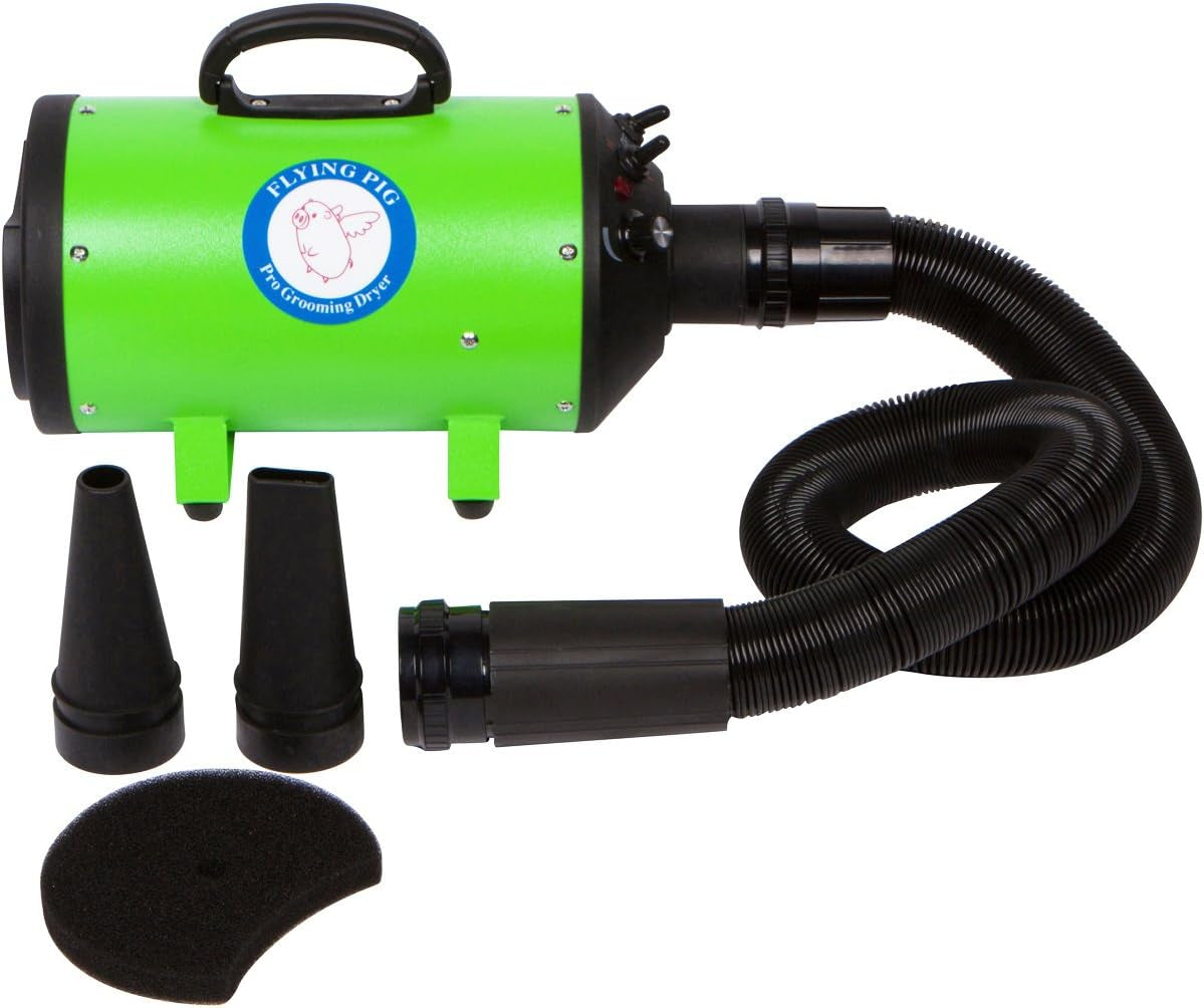 High Velocity Pet Grooming Dryer with Heater - Flying Pig Model One (Green)