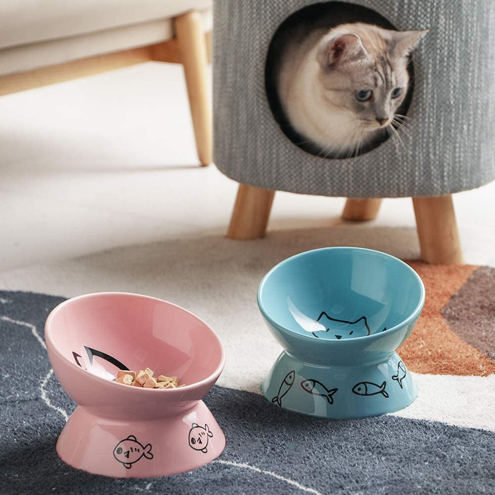 Sweejar Elevated Ceramic Cat Bowls - Slanted Porcelain Dish for Food and Water, Designed to Protect Cat's Spine and Prevent Backflow (Pink)