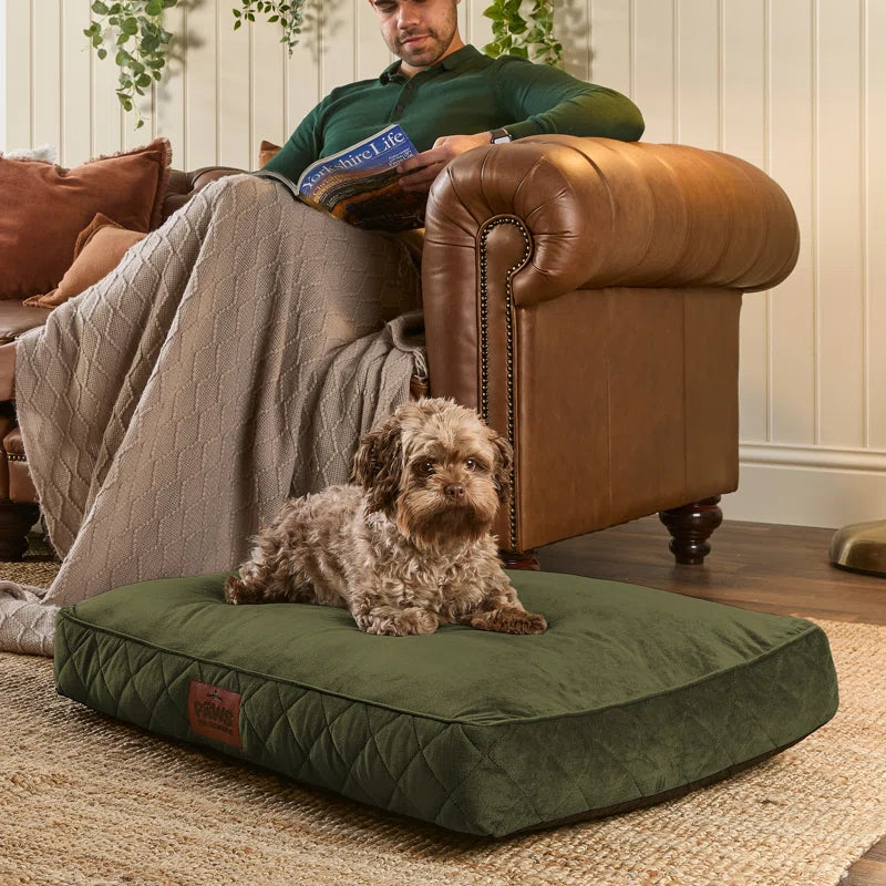 Paws for Slumber Raised Padded Dog Bed – Comfortable, Supportive & Durable Pet Bed for All Breeds